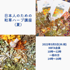 【募集】日本人のための和草ハーブ講座（夏）オンライン🌿