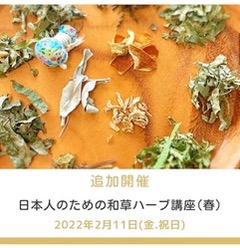 日本人ための和草ハーブ講座(春)オンライン開催