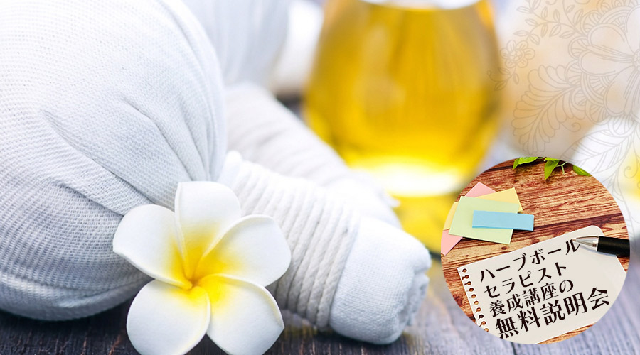 ESTRELLAS_SALON Angelica｜エストレージャス_サロン アンジェリカ